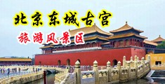 男人操女人皮的视频网站中国北京-东城古宫旅游风景区
